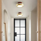Vintage Acrylic LED Ceiling Light – Retro Flush Mount Lamp | Compact Modern Interior Lighting