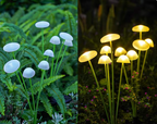 FairyGlow Solar Mushroom Light – Decorative LED Garden Lamp | Automatic Outdoor Path & Garden Lighting