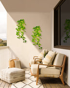 Illuminated Ivy Garland – Decorative LED Vine Lights for Indoor & Outdoor Spaces