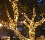 LumiFest LED Christmas String Lights – 10M / 50M / 100M Outdoor Fairy Lights with 8 Lighting Modes