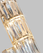 Crystal Luxe LED Wall Light – Stainless Steel Wall Lamp with Clear Glass Shade | Contemporary Ambient Lighting | Elegant Interior Feature