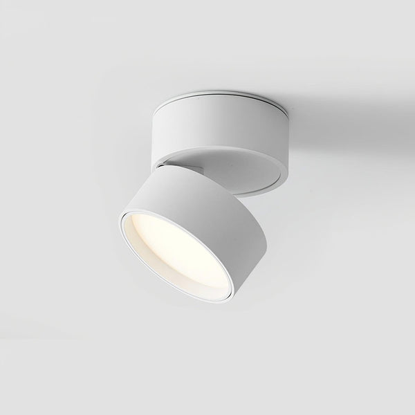 Savvina Surface Ceiling Light – Adjustable LED Spotlight | Modern Directional Interior Lighting