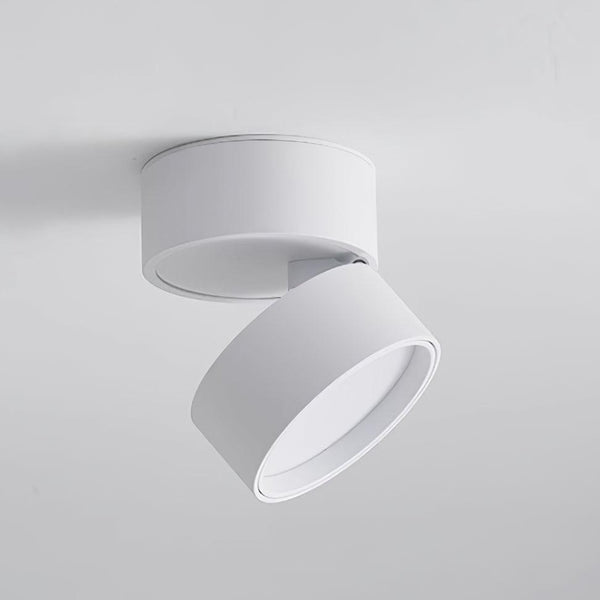 Savvina Surface Ceiling Light – Adjustable LED Spotlight | Modern Directional Interior Lighting