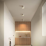 Veloria Surface Ceiling Light – Adjustable LED Spotlight | Minimalist Accent Lighting for Modern Interiors
