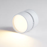 Veloria Surface Ceiling Light – Adjustable LED Spotlight | Minimalist Accent Lighting for Modern Interiors