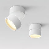 Veloria Surface Ceiling Light – Adjustable LED Spotlight | Minimalist Accent Lighting for Modern Interiors