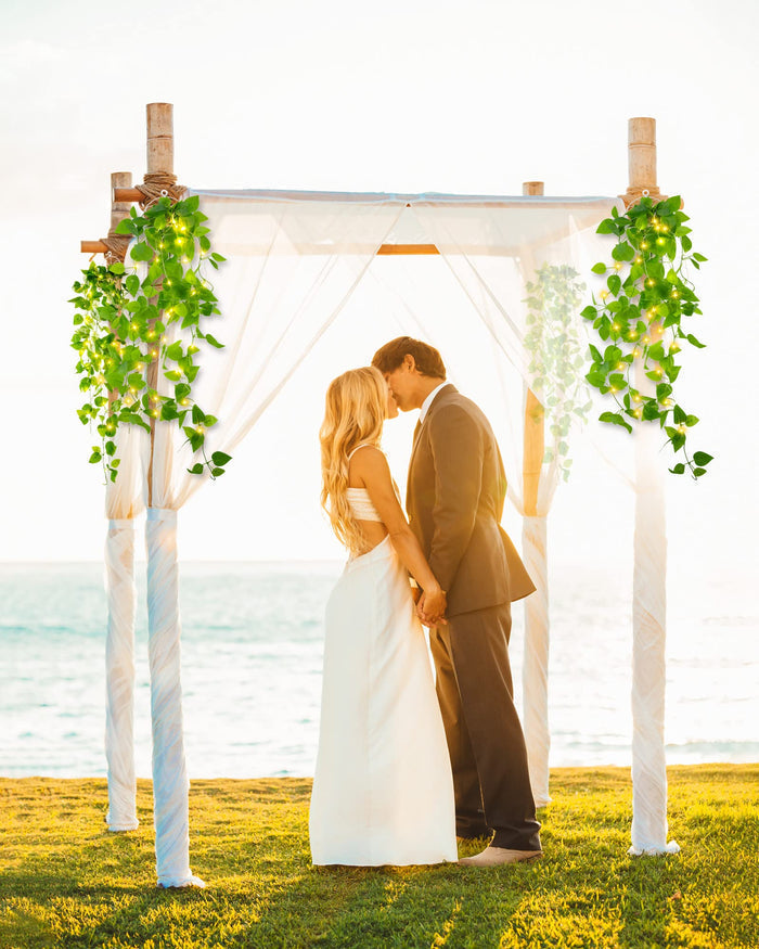 Illuminated Ivy Garland – Decorative LED Vine Lights for Indoor & Outdoor Spaces