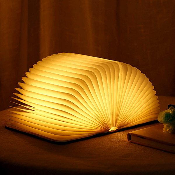 Enchanted Book Lamp – Magical Lighting for Book Lovers