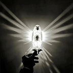 3D Bird Projection Wall Light – Modern Animal Wall Sconce | Decorative Ambient Lighting | Owl & Eagle Designer Fixture