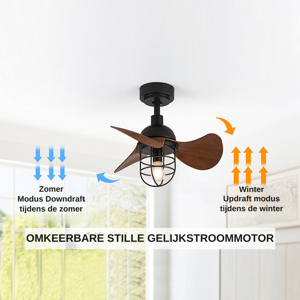 Walnora Ceiling Fan Light – Modern Dark Walnut Ceiling Fan with Integrated Lighting | Contemporary Compact Cooling & Ambient Illumination