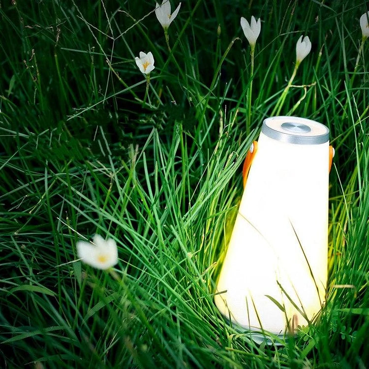 Portable LED Outdoor Camping Lamp – Rechargeable Cordless Lantern for Indoor & Outdoor Use