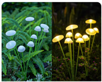 FairyGlow Solar Mushroom Light – Decorative LED Garden Lamp | Automatic Outdoor Path & Garden Lighting